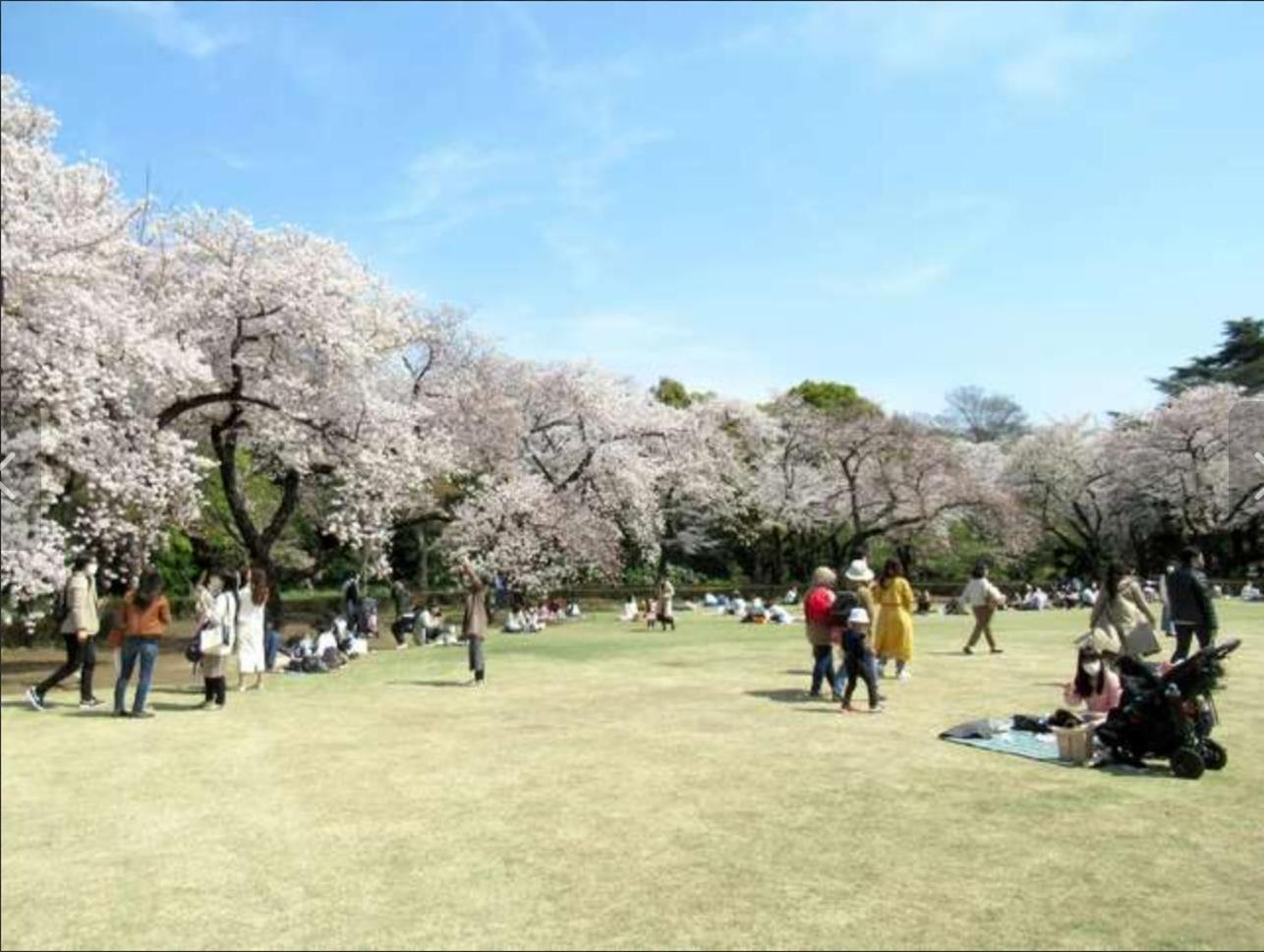 诚信东新宿 Prefektura Tokio Exteriér fotografie