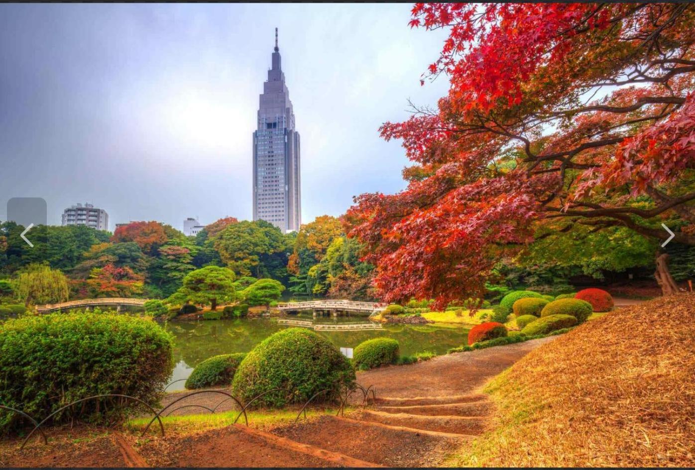 诚信东新宿 Prefektura Tokio Exteriér fotografie